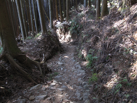 20170118hike (483)
